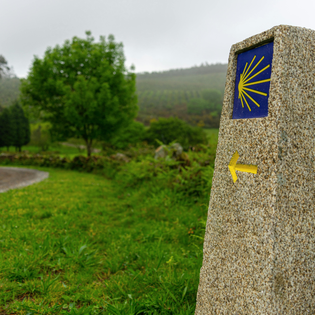 Seekers - Camino de Santiago de Compostela MTB - Camino Francés