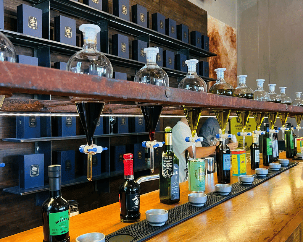 Mendoza Bike Tour - Travesía en MTB - Seekers MTB