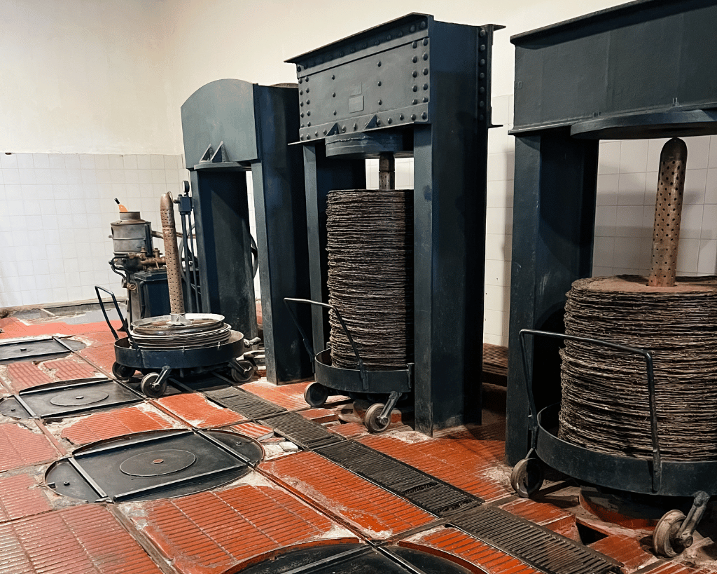 Mendoza Bike Tour - Travesía en MTB - Seekers MTB