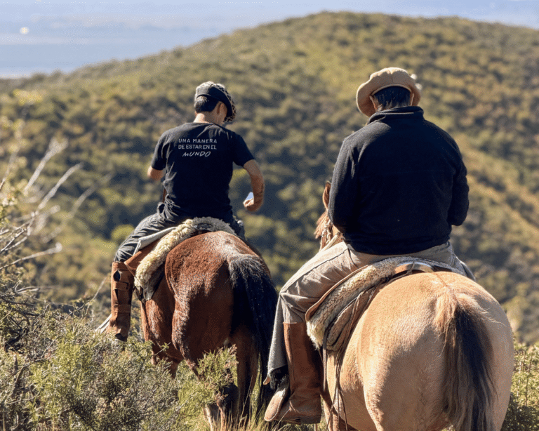 Mendoza Bike Tour - Seekers MTB