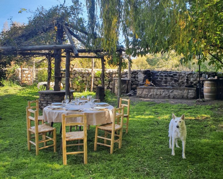 Mendoza Bike Tour - Seekers MTB
